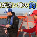 アクセス抜群！快適な海釣り公園で手軽にいろんな魚を釣りましょう！（四季の釣り/2025年6月20日放送）