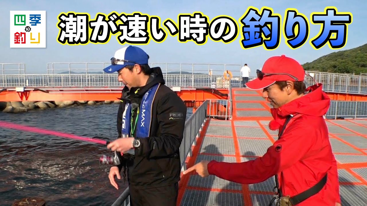 アクセス抜群!快適な海釣り公園で手軽にいろんな魚を釣りましょう!(四季の釣り/2025年6月20日放送)