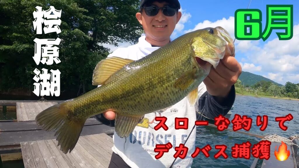 【桧原湖バス釣り】 2025/6/28強風の中でもしっかりパターンを見つけられると、、、