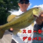 【桧原湖バス釣り】 2025/6/28強風の中でもしっかりパターンを見つけられると、、、