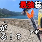 【静岡県某所】最強装備で青物＆高級魚連発！？初夏の時期に、東海地方の伊豆半島の相模湾側に面している釣り場で、サニー商事のアポロカゴシリーズ一式で遠投カゴ釣りをしてみたら…！【2025年7月上旬】