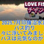 2025年7月【印旛沼水系バス釣り】久々に浮いてみた！バスは元気？なのか？