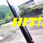 【2025年鮎釣り】　7月1日　釣行(高見川)＃2