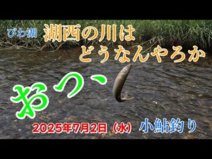 【2025/7/2】びわ湖 湖西の川で小鮎釣りしてきました。【知内川】【石田川】