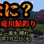 【なに？】九頭竜川鮎釣り　2025年7月22日(火)