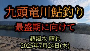 【九頭竜川鮎釣り】最盛期に向けて 2025年7月24日(木)