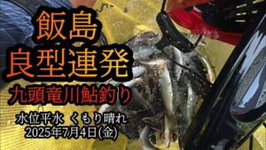 【飯島】良型連発！　九頭竜川の鮎釣り　2025年7月4日