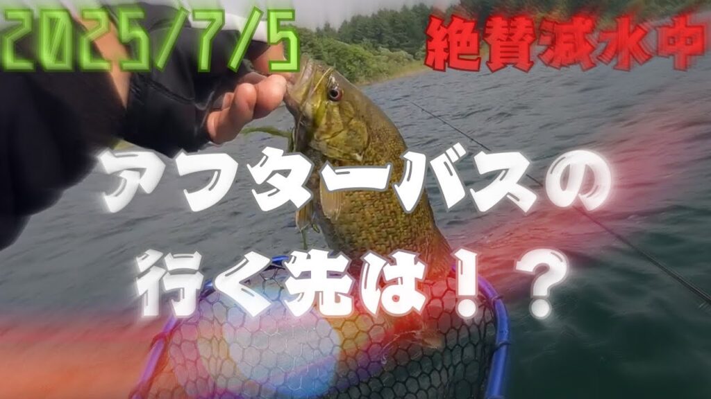 【桧原湖バス釣り】2025/7/5減水進む桧原湖！魚の居場所も変わり始める🐟