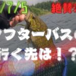 【桧原湖バス釣り】2025/7/5減水進む桧原湖！魚の居場所も変わり始める🐟