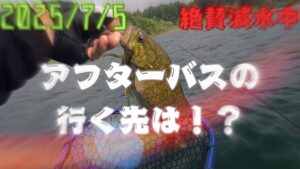【桧原湖バス釣り】2025/7/5減水進む桧原湖！魚の居場所も変わり始める🐟