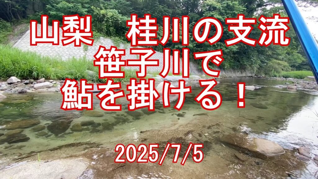 山梨、桂川の支流　笹子川で鮎釣り　2025/7/5