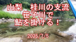 山梨、桂川の支流 笹子川で鮎釣り 2025/7/5