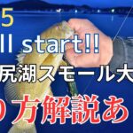 【2025】small start 野尻湖スモールマウスバス釣り大会｜プロ直伝攻略！イモ50×虫パターン一撃テク全公開