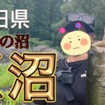 【秋田県バス釣り】これがＫ沼の真実です。#22