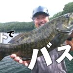 加藤誠司が夏の野尻湖バスを攻略！情報を見極め、直感と照らし合わせる 2/2 『LURE FREAK 92』【釣りビジョン】