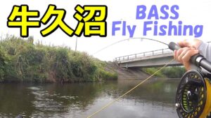 【水温24℃】牛久沼フライでバス釣り