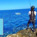 片道26時間以上かかる、遠すぎる磯での釣りが規格外すぎた‥