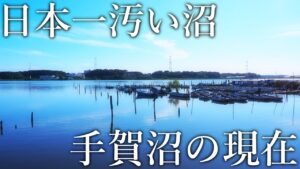 27年間も日本一汚い沼と格付けされた［手賀沼］で釣りをしてみると…想定外の大物が釣れました