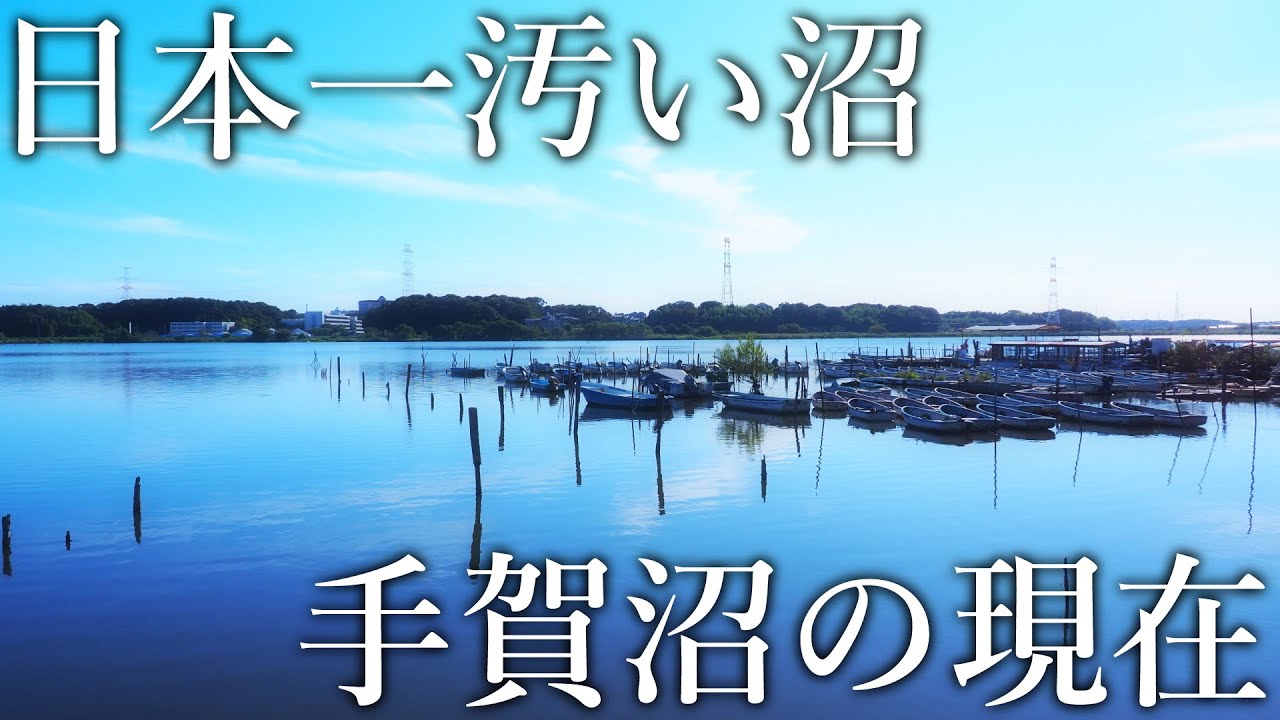 27年間も日本一汚い沼と格付けされた［手賀沼］で釣りをしてみると…想定外の大物が釣れました