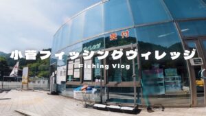 【小菅フィッシングヴィレッジ】これが源流サーモン🐟！？ | 多摩源流の小菅川を利用したエリアトラウト🌿 | 都心から約2時間で釣りとBBQ アウトドアが楽しめる🚗【小菅の湯】#エリアトラウト