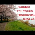【釣場お散歩】#3, ブラックバス釣り・城沼（群馬県館林市花山町）2020年 4月 1日 [Fishing ground walk] black bass fishing, Tatara-Swamp