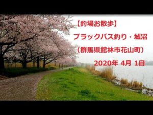 【釣場お散歩】#3, ブラックバス釣り・城沼（群馬県館林市花山町）2020年 4月 1日 [Fishing ground walk] black bass fishing, Tatara-Swamp