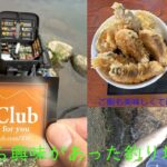 【エリアトラウト】初場所、308clubに挑戦してきました。