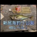 【浜名湖】海釣り公園 尺 アジ 40レベル 昼間に 釣る サビキ 尺オーバー