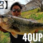 【城沼】３月下旬の城沼にて🎣40UP釣れました🎵