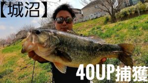 【城沼】３月下旬の城沼にて🎣40UP釣れました🎵