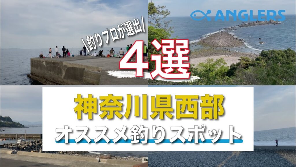 【必見❗️】神奈川県西部オススメ海釣りスポット4選！釣り初心者は必ず見るべき！駐車場・トイレ付き！4月上旬の釣り場、雰囲気公開！