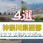 【必見❗️】神奈川県西部オススメ海釣りスポット4選！釣り初心者は必ず見るべき！駐車場・トイレ付き！4月上旬の釣り場、雰囲気公開！