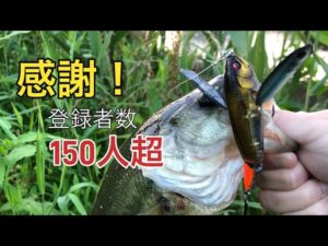 【バス釣り】トップウォーターなら45アップ確定?あと水門は覗がない方が良い?