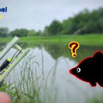 【小物釣り】ボウズでした・・・埼玉県 びん沼公園にタナゴ釣りに行ったんけど・・・【4K】