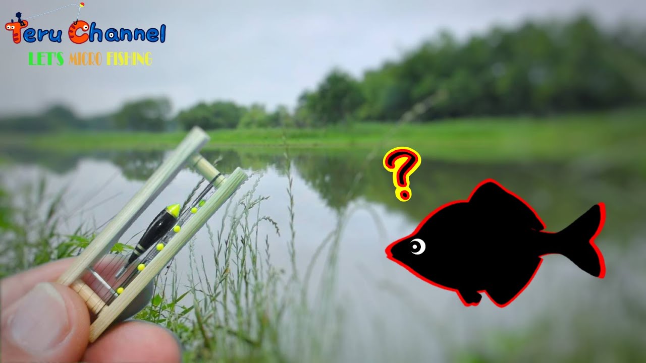 【小物釣り】ボウズでした・・・埼玉県 びん沼公園にタナゴ釣りに行ったんけど・・・【4K】