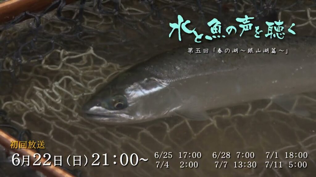 水と魚の声を聴く 5 春の湖 ～銀山湖篇～（新潟県）【釣りビジョン番組紹介】
