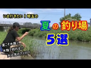 埼玉の夏の釣り場5選!釣れる水路や楽しい沼♪木陰で釣れるスポットや大人気のアノ川で夏の釣りを満喫しよう!