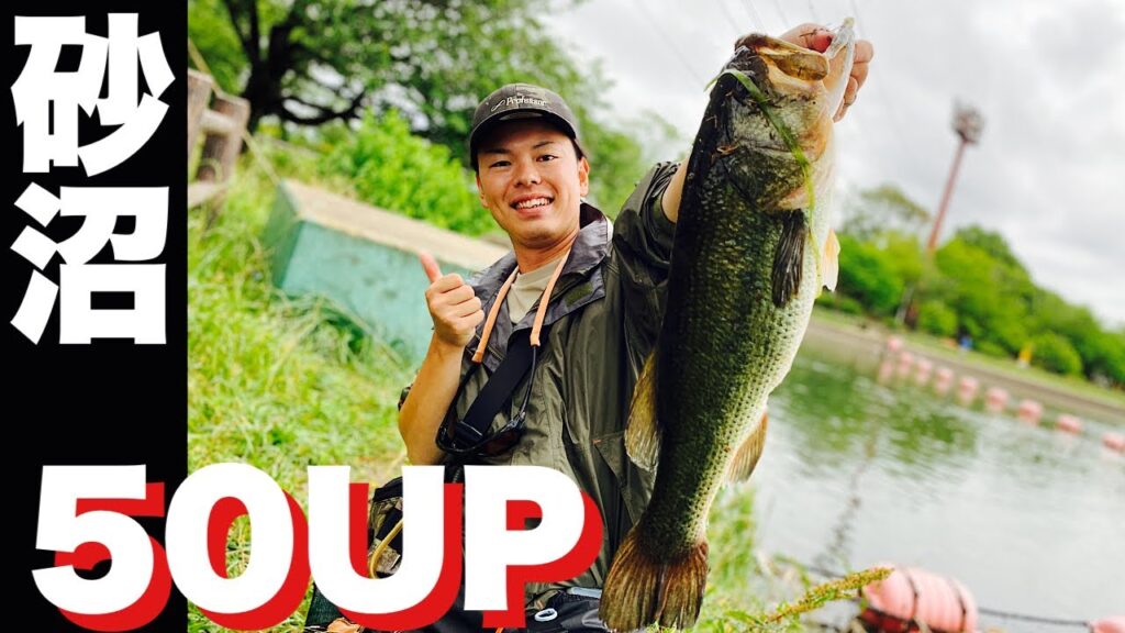 【茨城県　砂沼】50アップ釣れました。