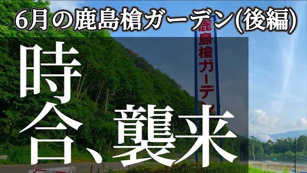 6月の鹿島槍ガーデン(後半)は時合い天国でした