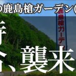 6月の鹿島槍ガーデン(後半)は時合い天国でした
