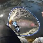 【閉鎖】平均サイズが60〜70cmの管理釣り場【福島県・三瓶フィッシング】