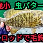 【桧原湖バス釣り】極小虫パターン攻略!?バスロッドで毛鉤を投げた結果…【7月】