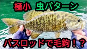 【桧原湖バス釣り】極小虫パターン攻略!?バスロッドで毛鉤を投げた結果…【7月】