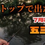 【バス釣り】7月五三川！夏朝のトップはとりあえずバゼルで釣る！