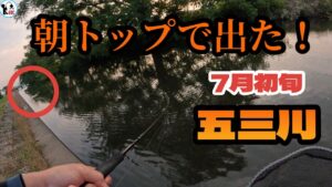 【バス釣り】7月五三川！夏朝のトップはとりあえずバゼルで釣る！