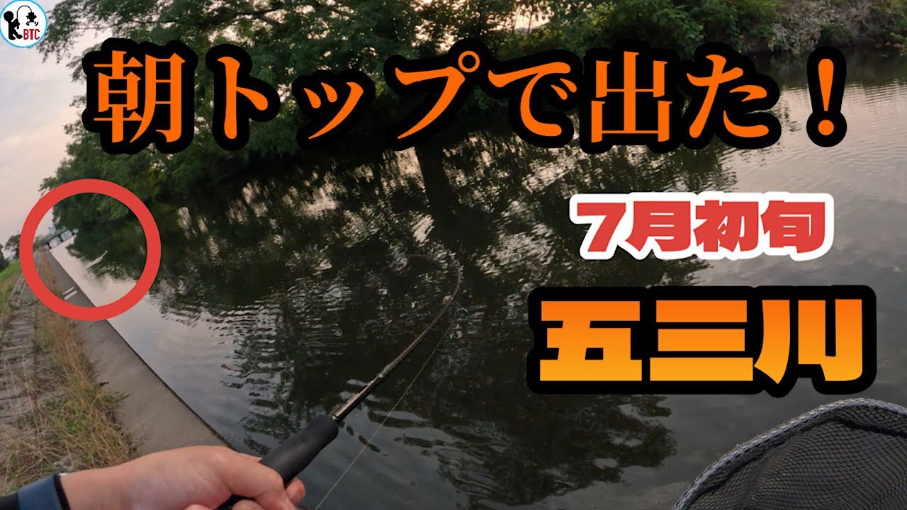 【バス釣り】7月五三川!夏朝のトップはとりあえずバゼルで釣る!