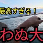 遠州灘サーフと浜名湖海釣り公園7月中旬〜下旬