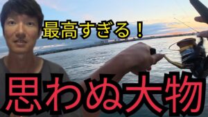 遠州灘サーフと浜名湖海釣り公園7月中旬〜下旬