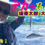 【最高翻弄】7月頭でこの大鮎に腰抜かす 銀影競技ｽﾍﾟｼｬﾙT90編 (坂東太郎利根川2025)