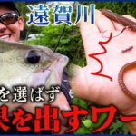 【バス釣り】状況を選ばず結果を出すワーム「スパテラ7.8in」で攻略 | 遠賀川【釣り時季】